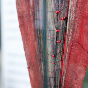 Sleeping Leaves IMG 10867 web