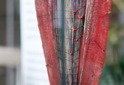 Sleeping Leaves IMG 10867 web