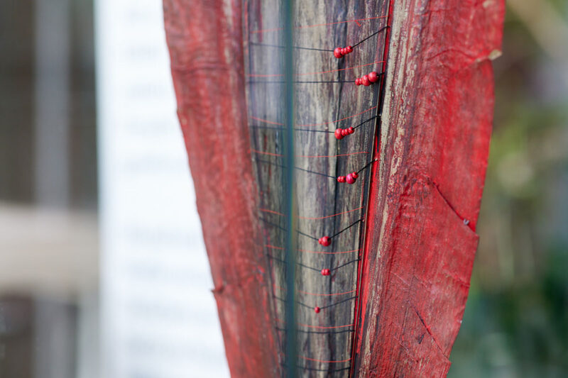 Sleeping Leaves IMG 10867 web